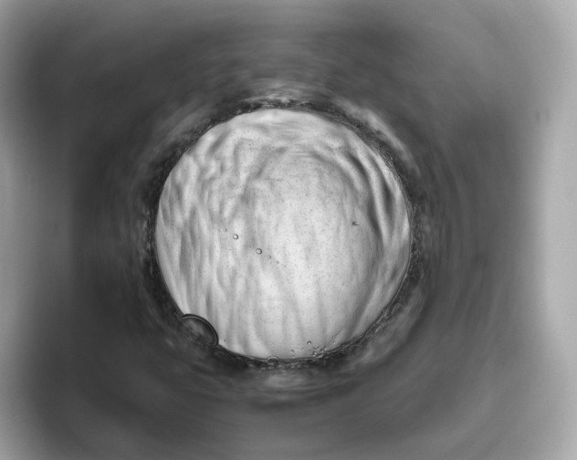 X0000096461399200802141523