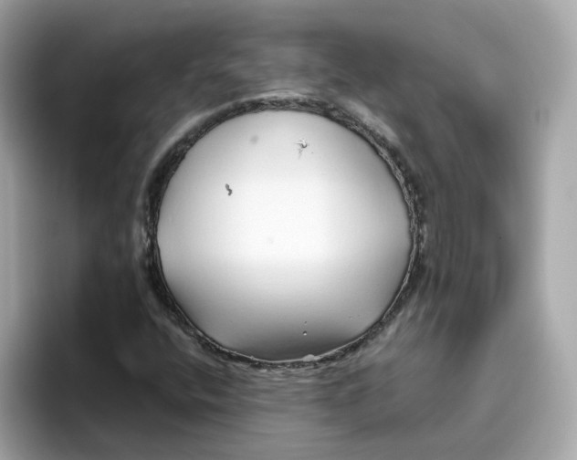 X0000096461400200802141523