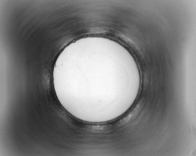 X0000096461401200802141523
