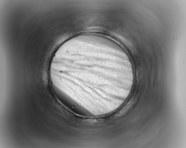 X0000096461405200802141523