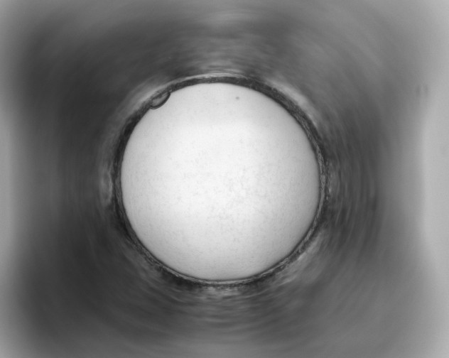 X0000096461407200802141523