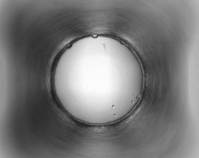 X0000096461410200802141523