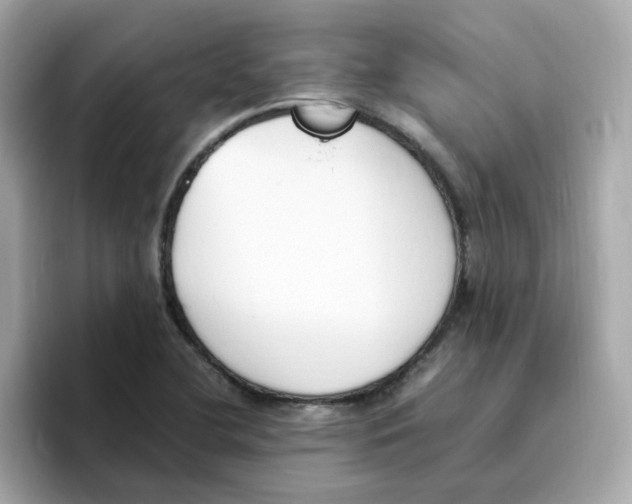 X0000096461412200802141523