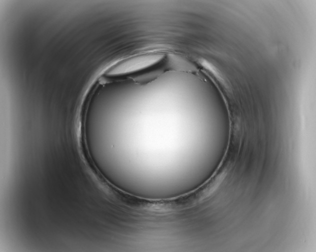 X0000096461418200802141523