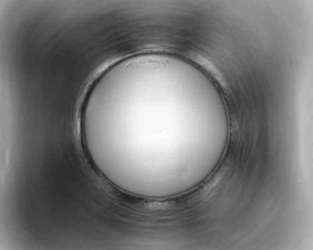 X0000096461419200802141523