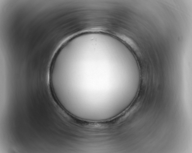 X0000096461420200802141523