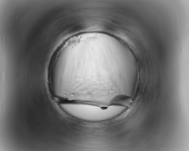 X0000096461422200802141523