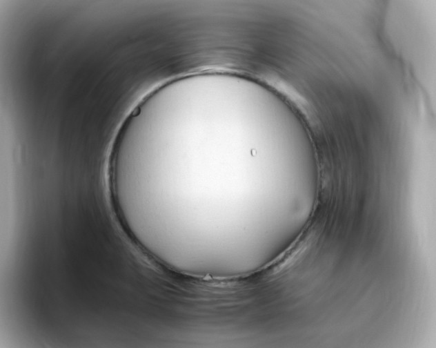 X0000096461423200802141523
