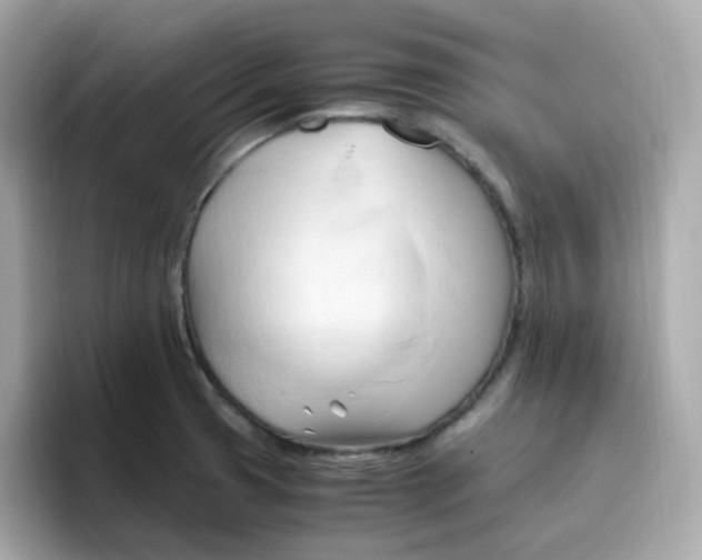 X0000096461425200802141523