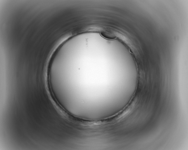 X0000096461426200802141523