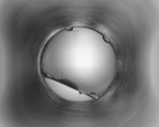 X0000096461427200802141523