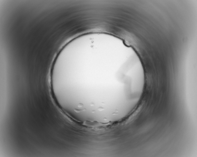 X0000096461428200802141523