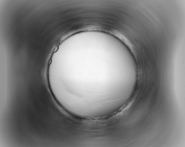 X0000096461429200802141523