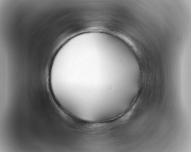 X0000096461430200802141523