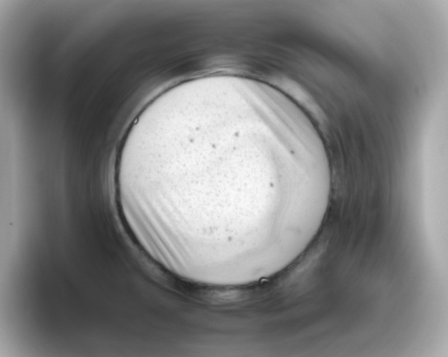 X0000096461431200802141523