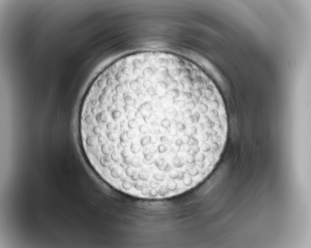 X0000096461432200802141523