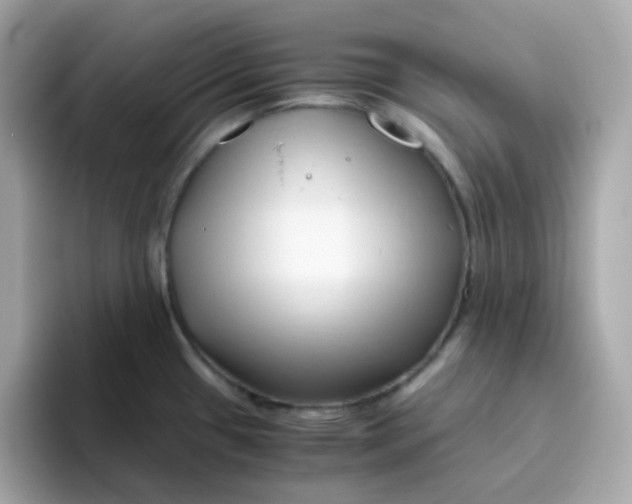 X0000096461433200802141523