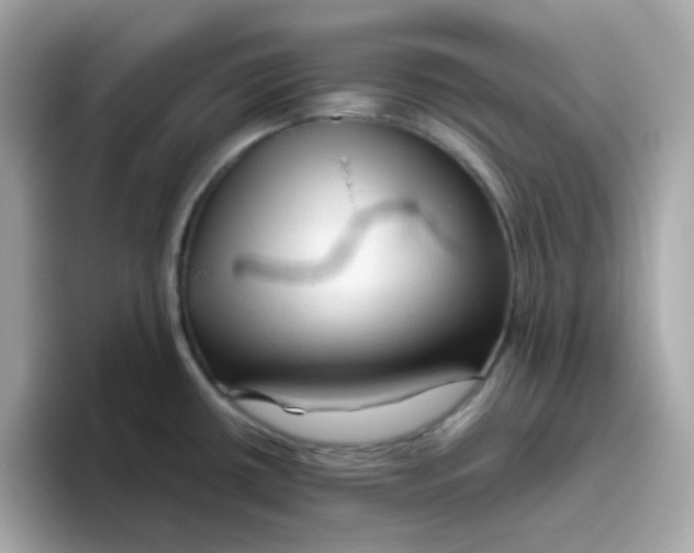 X0000096461434200802141523