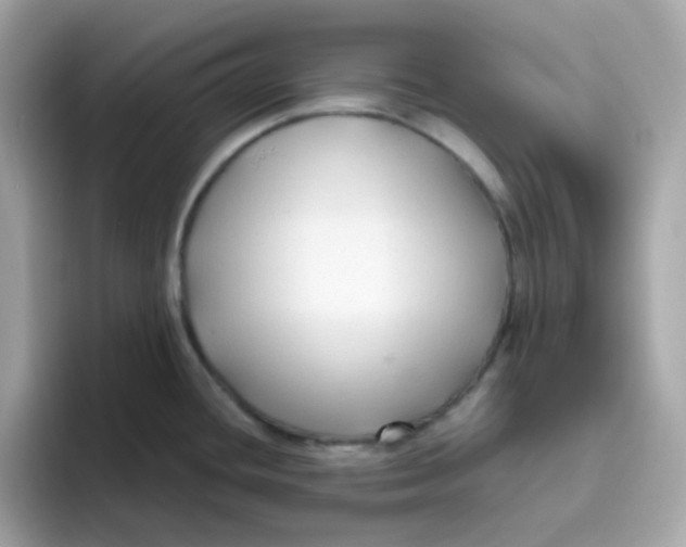 X0000096461436200802141523