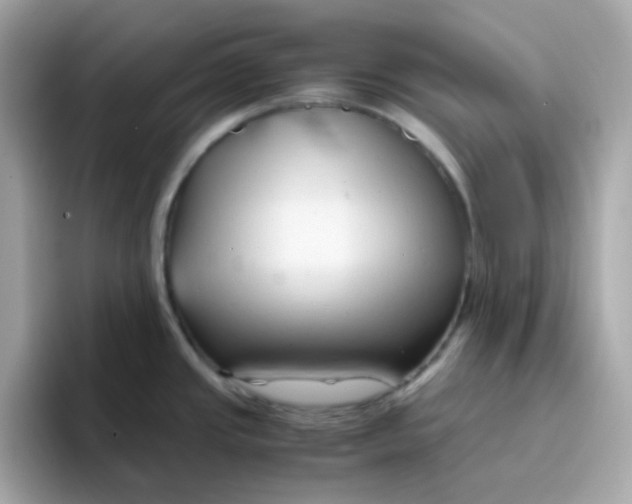 X0000096461437200802141523