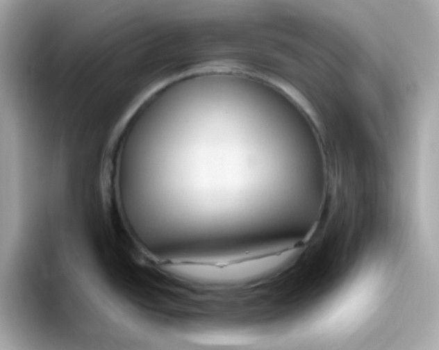 X0000096461438200802141523