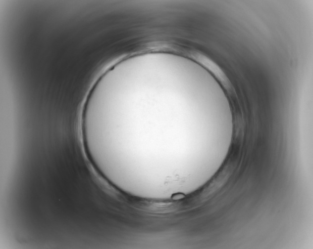 X0000096461439200802141523