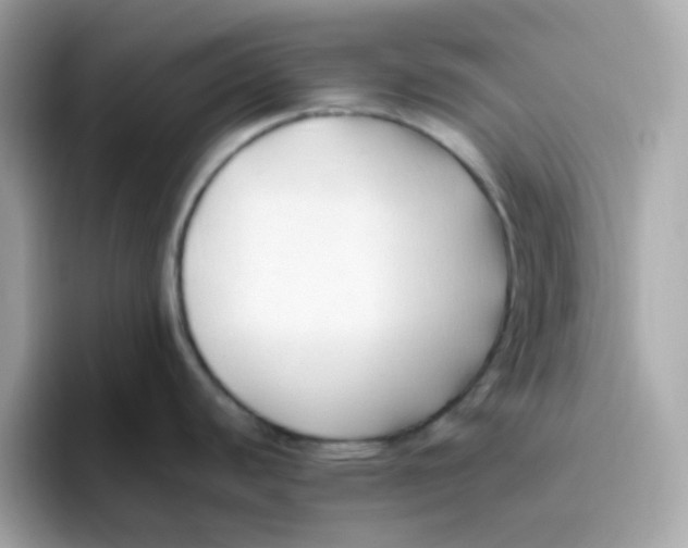 X0000096461440200802141523