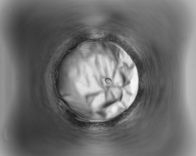 X0000096461441200802141523