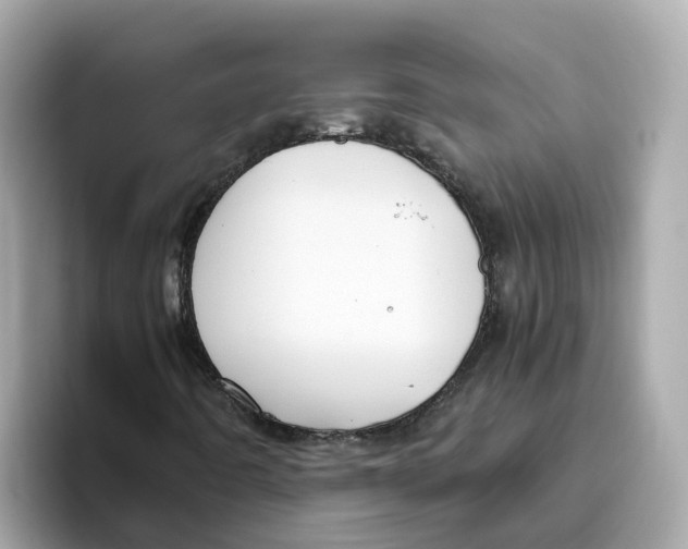 X0000096461442200802141523