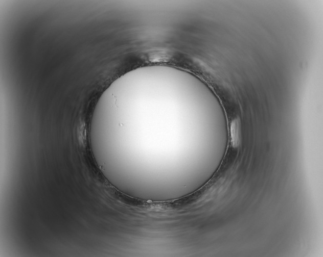 X0000096461443200802141523