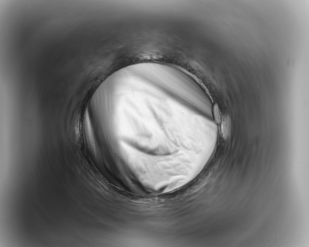 X0000096461444200802141523