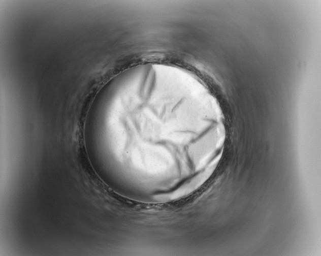 X0000096461445200802141523