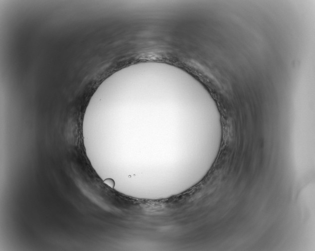 X0000096461446200802141523