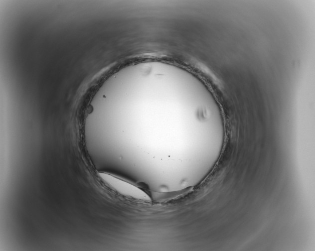 X0000096461448200802141523