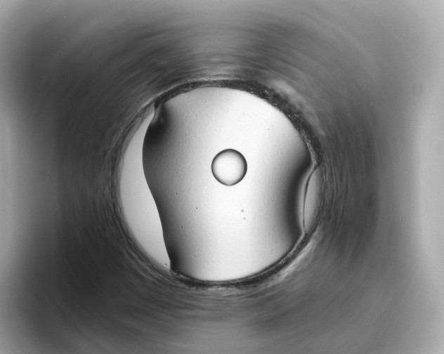 X0000096461449200802141523