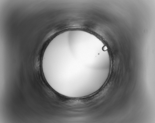 X0000096461450200802141522