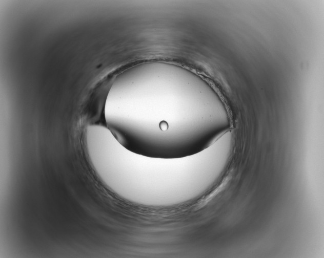 X0000096461453200802141522