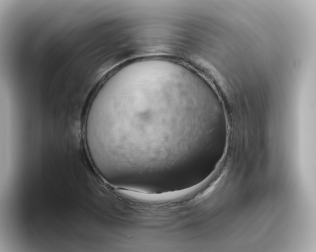 X0000096461457200802141522