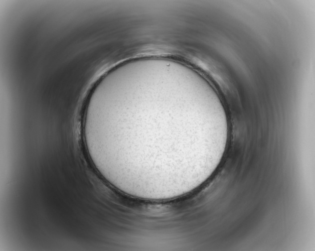 X0000096461459200802141522