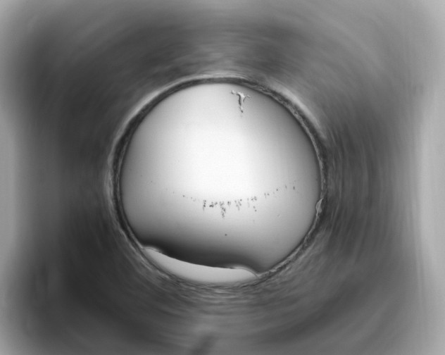 X0000096461460200802141522