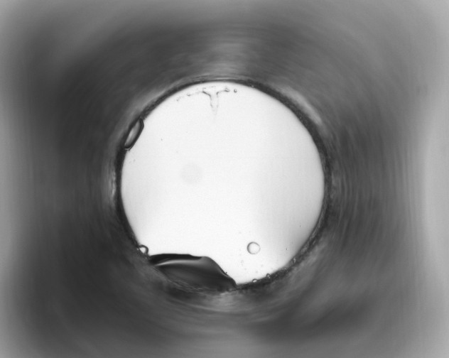 X0000096461461200802141522