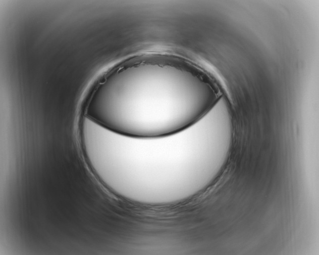 X0000096461464200802141522