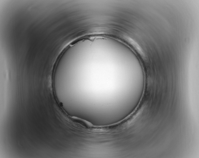X0000096461465200802141522