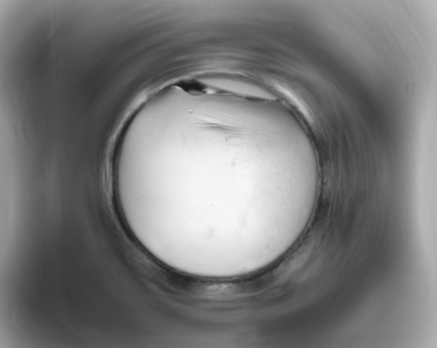 X0000096461467200802141522