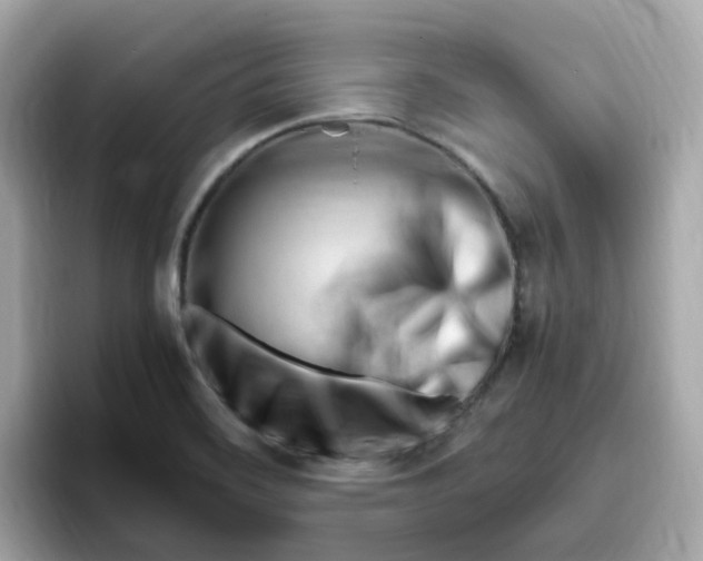 X0000096461468200802141522