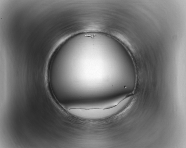 X0000096461469200802141522