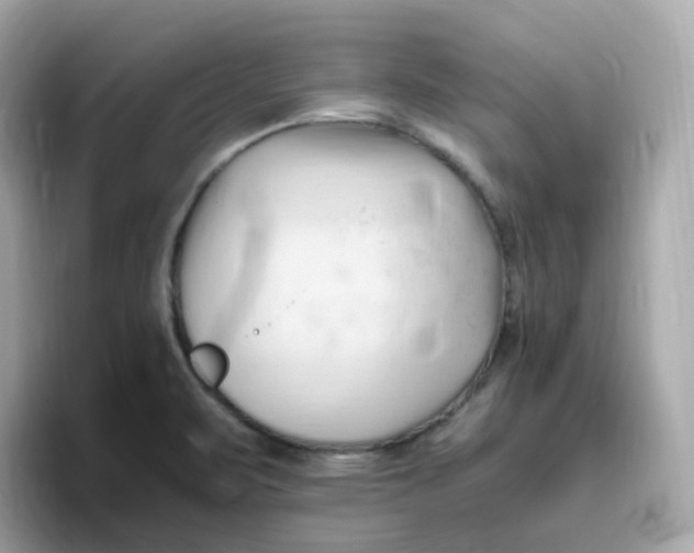 X0000096461471200802141522