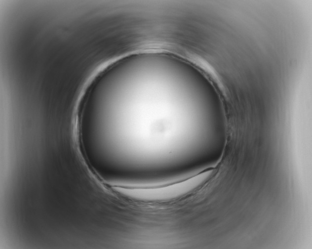 X0000096461472200802141522