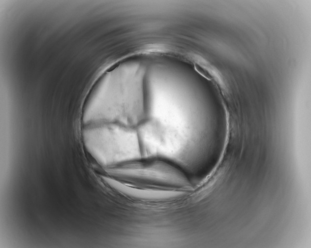X0000096461473200802141522