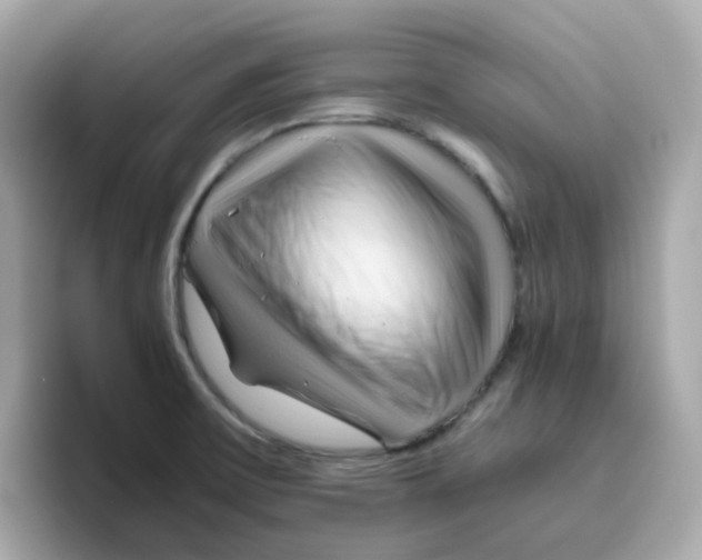 X0000096461475200802141522